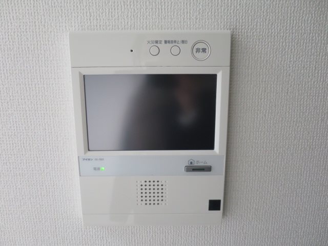 ＡＲＴＥＳＳＩＭＯ ＳＩＲＩＵＳ その他3