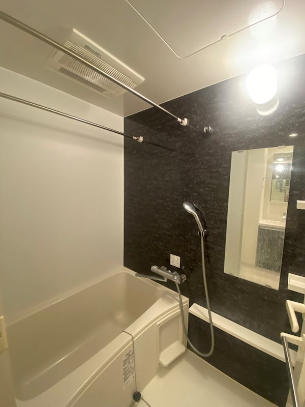 ＭＡＸＩＶ武蔵新城 風呂画像