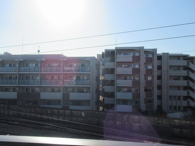 ＡＲＣＯＢＡＬＥＮＯ ＭＵＳＡＳＨＩＫＯＳＵＧＩ その他4