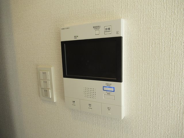 ＡＲＣＯＢＡＬＥＮＯ ＭＵＳＡＳＨＩＫＯＳＵＧＩ その他4