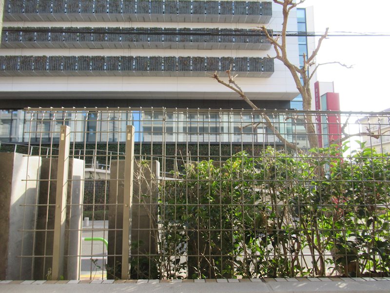 エルフォルテ赤羽 ベランダ