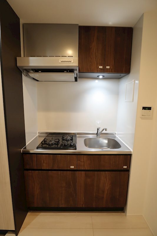 ＬＥＸＥ横濱阪東橋Ⅱ キッチン