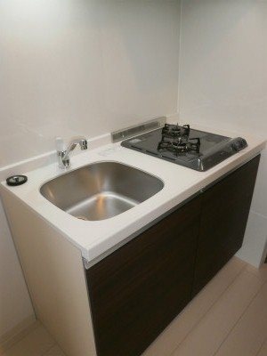 ＲＩＳＥ ＳＴＡＧＥ ＭＵＳＡＳＨＩ-ＫＯＧＡＮＥＩ キッチン