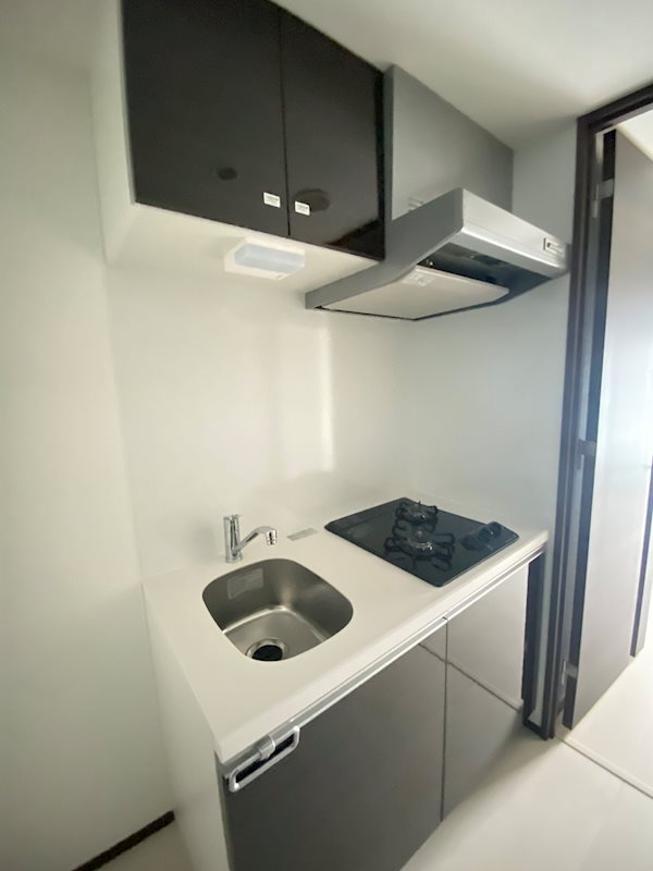 ※参考写真 GENOVIA青砥skygarden キッチン