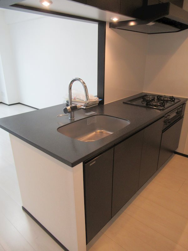 ミルーナヒルズ柏 キッチン