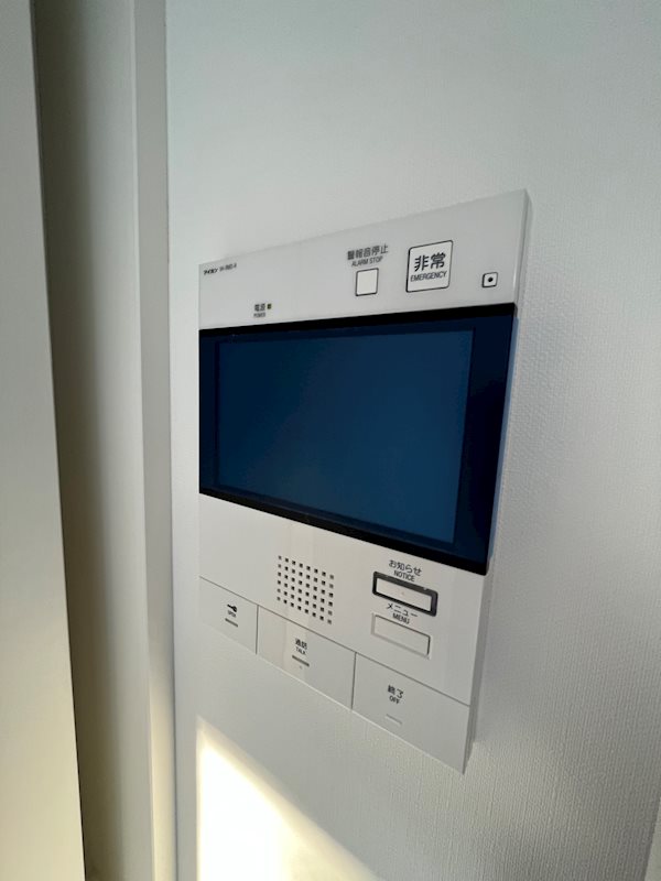 ＡＲＣＯＢＡＬＥＮＯ ＳＨＩＮＩＴＡＢＡＳＨＩ その他5