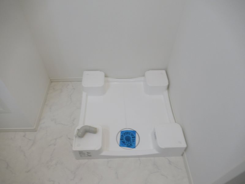 ＡＲＣＯＢＡＬＥＮＯ ＳＨＩＮＩＴＡＢＡＳＨＩ その他6