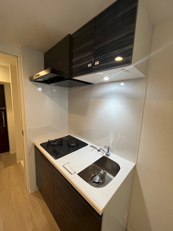 ハーモニーレジデンス大塚山手インサイド キッチン