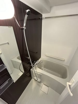 ハーモニーレジデンス大塚山手インサイド 風呂画像