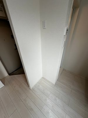 ハーモニーテラス江原町Ⅲ 玄関