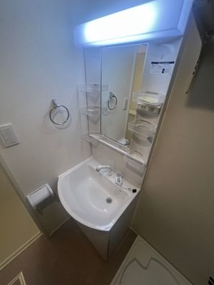 ハーモニーテラス大和町Ⅴ 洗面所