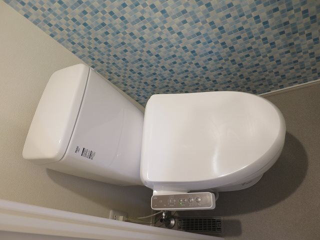 ＳＴＥＬＬＡ＋ その他2