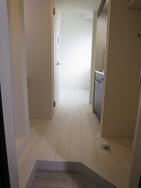 ハーモニーテラス富士見台Ⅲ 玄関