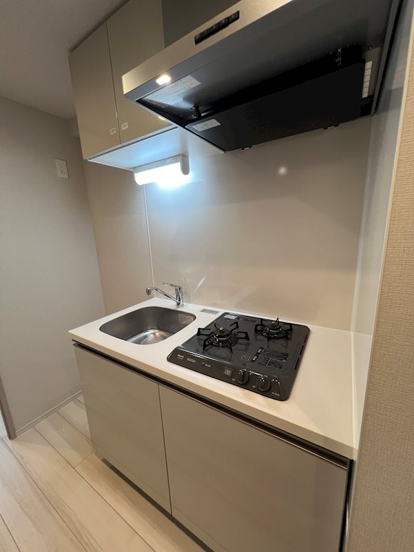 ディアレイシャス西武柳沢 キッチン