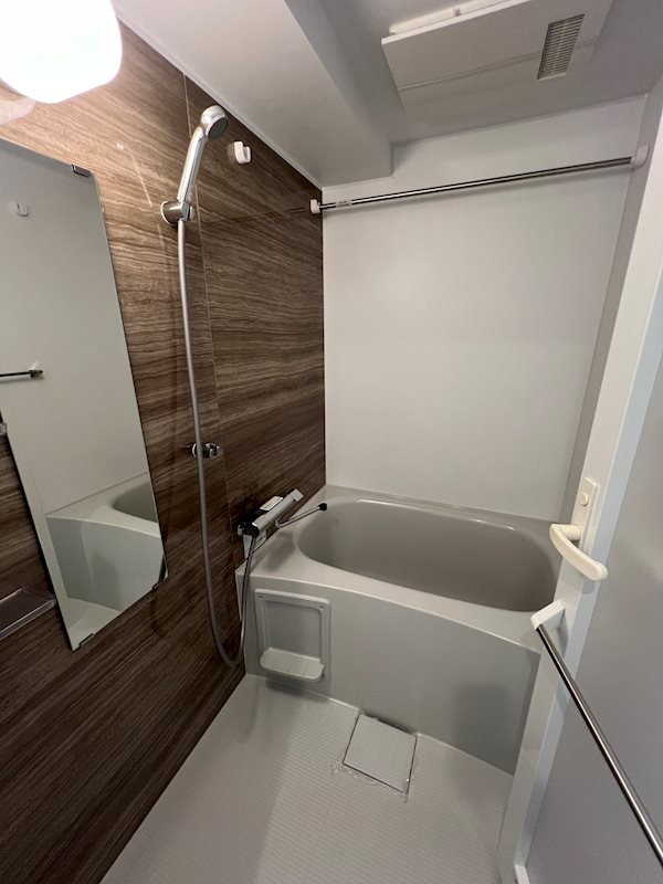 ディアレイシャス西武柳沢 風呂画像