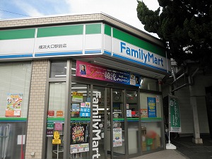 アイル プレミアム横浜ノルド 周辺画像5