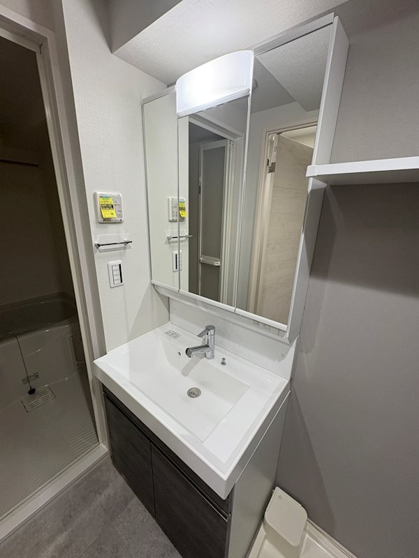 ＡＲＣＯＢＡＬＥＮＯ ＤＡＩＳＨＩＭＡＥ その他1