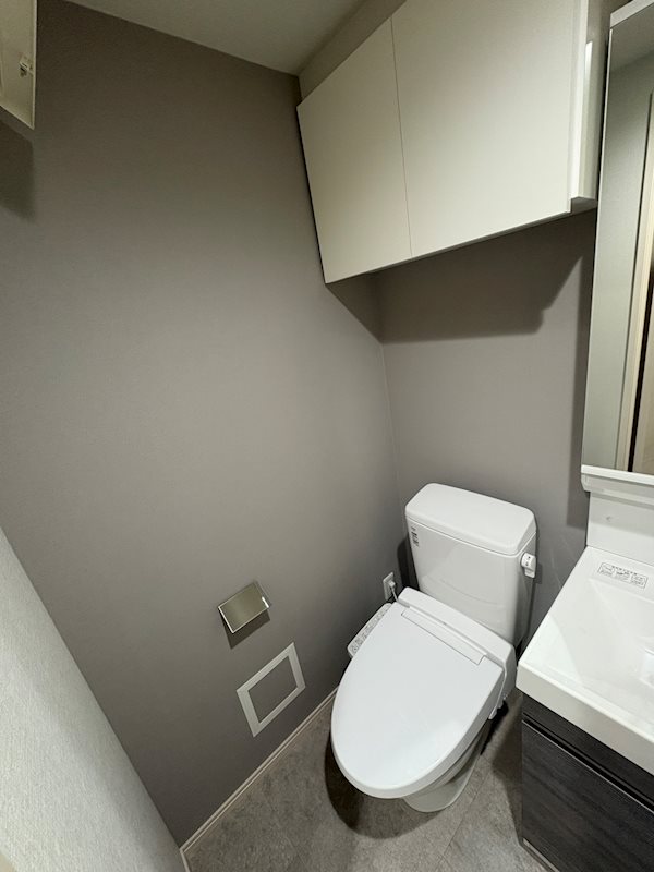 ＡＲＣＯＢＡＬＥＮＯ ＤＡＩＳＨＩＭＡＥ その他2