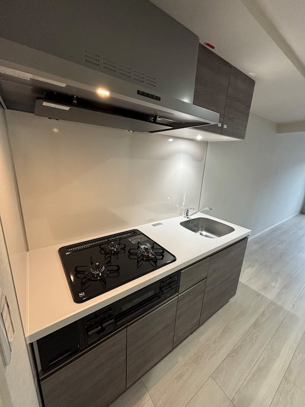 ＡＲＣＯＢＡＬＥＮＯ ＤＡＩＳＨＩＭＡＥ キッチン