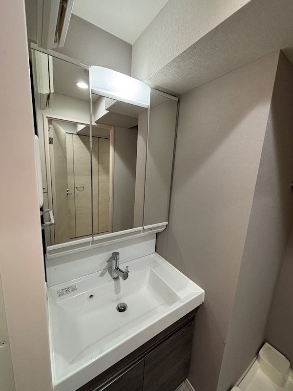 ＡＲＣＯＢＡＬＥＮＯ ＤＡＩＳＨＩＭＡＥ その他1