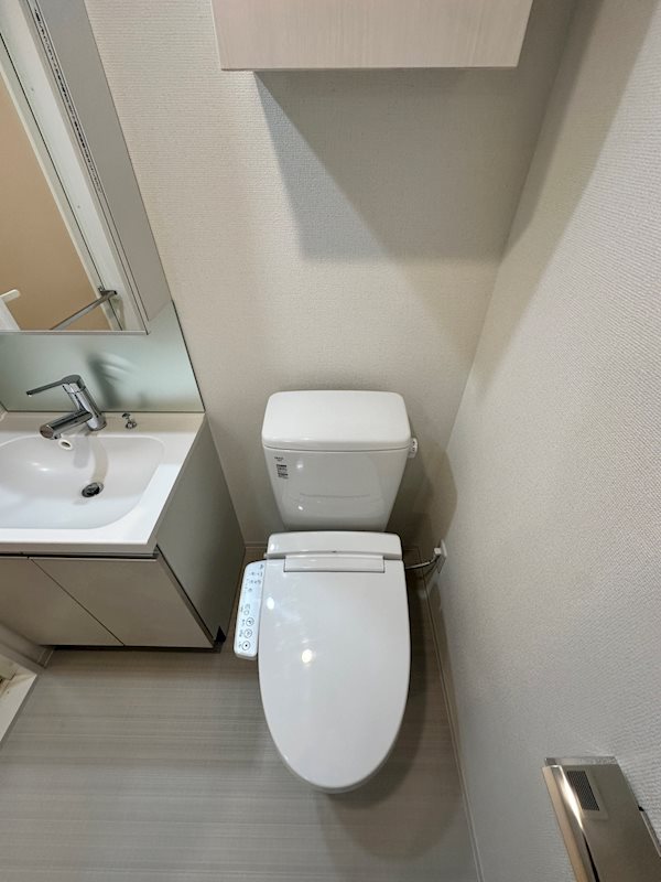 ＡＲＣＯＢＡＬＥＮＯ ＯＳＨＩＡＧＥ ＢＬＯＳＳＯＭ その他2