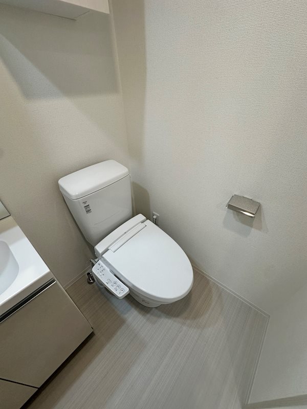 ＡＲＣＯＢＡＬＥＮＯ ＯＳＨＩＡＧＥ ＢＬＯＳＳＯＭ その他3