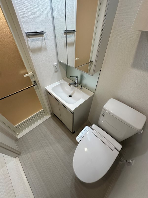 ＡＲＣＯＢＡＬＥＮＯ ＯＳＨＩＡＧＥ ＢＬＯＳＳＯＭ その他4