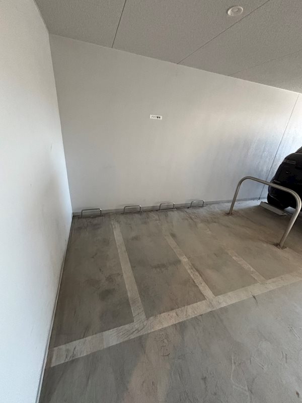 ＡＲＣＯＢＡＬＥＮＯ ＳＨＩＭＵＲＡＳＡＫＡＵＥ その他外観3