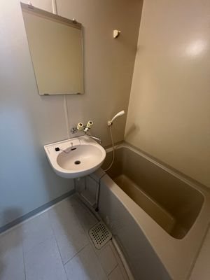 ラクサリーⅡ 風呂画像