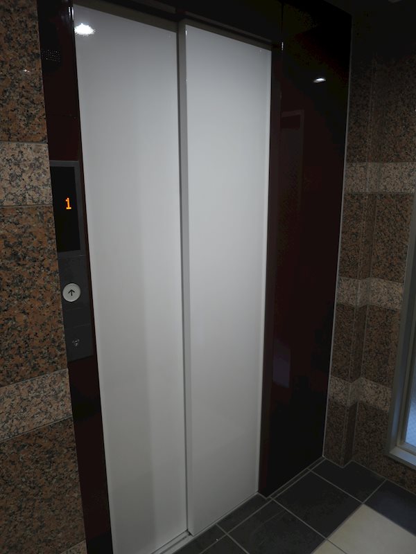 ミルーナリュクス西川口 その他外観2