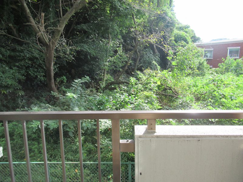 クリオ鎌倉笛田 その他6