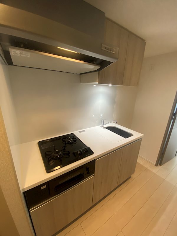 ＭＡＸＩＶ武蔵新城 キッチン