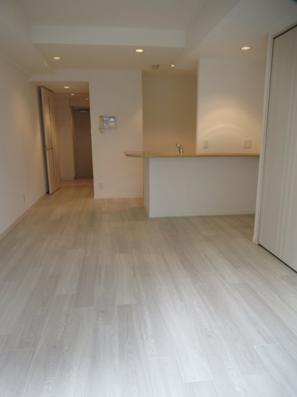 カスタリア新宿御苑 リビング