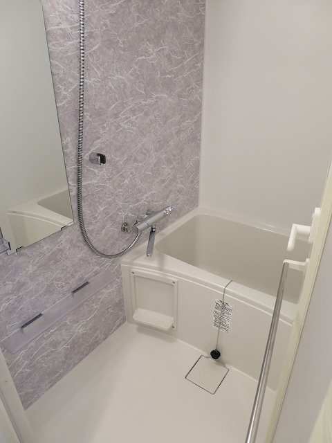 ＨＹ&amp;rsquo;ｓ Ｖｉｇｏｒ 墨田 風呂画像