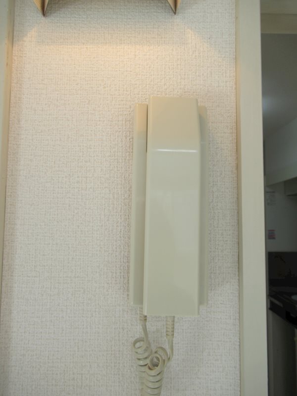 プレザンメゾン町田 セキュリティ