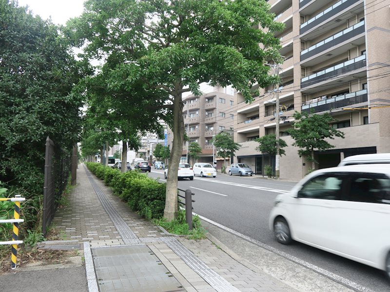 ハイ夢・赤迫 その他