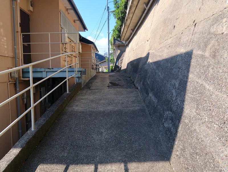 カリーナ平和 その他