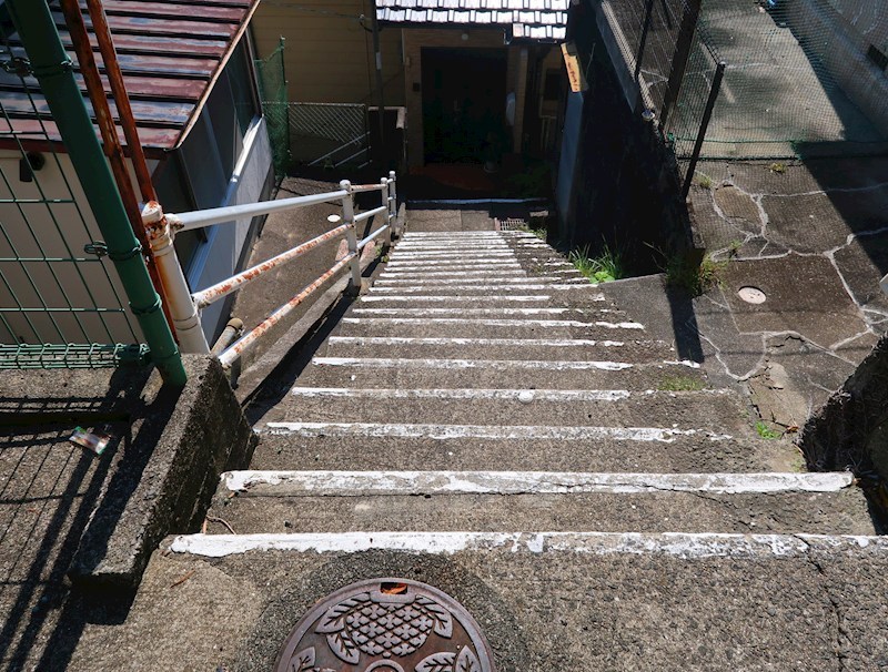 カリーナ平和 その他