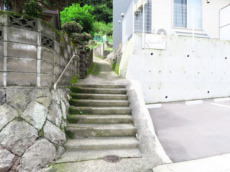 Signpost　UK その他