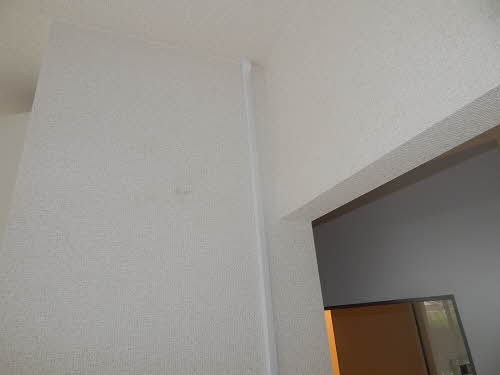 ディアス藤下　C棟 その他