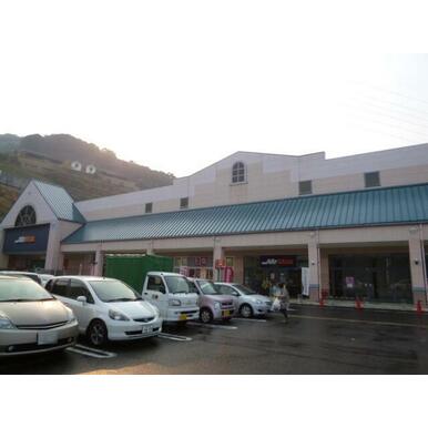 ALSTROMERIA ホームセンター