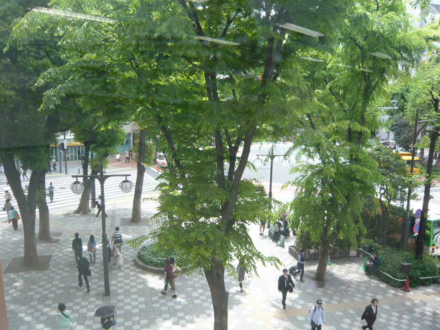 東池ビル  その他