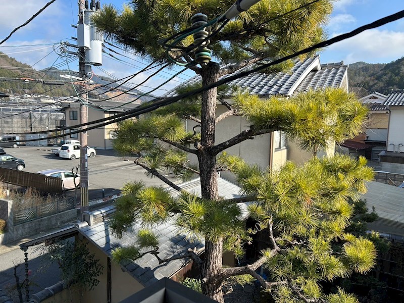 メゾンド静市 その他10