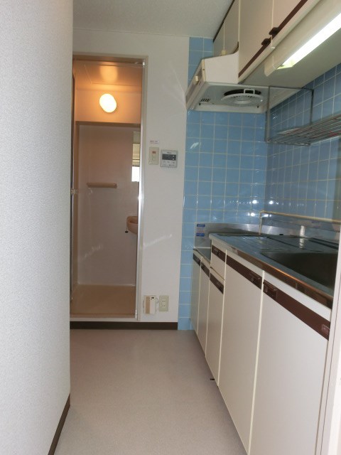 D`S　LYNX その他2