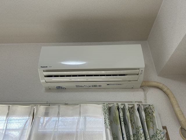 ブローニ･ゼルコバ その他4