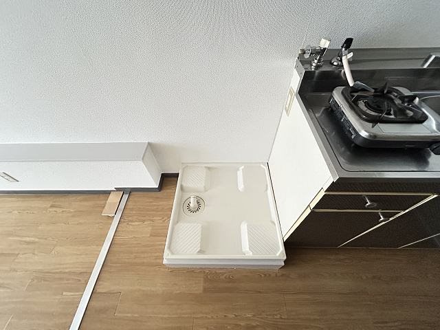 ブローニ･ゼルコバ その他2