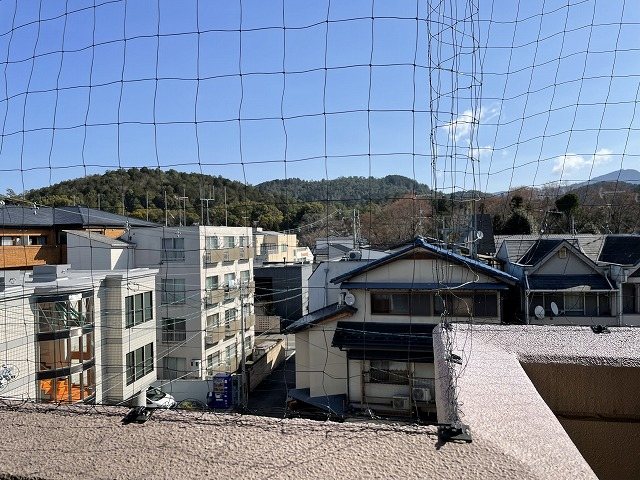 コーポ酒井 その他5