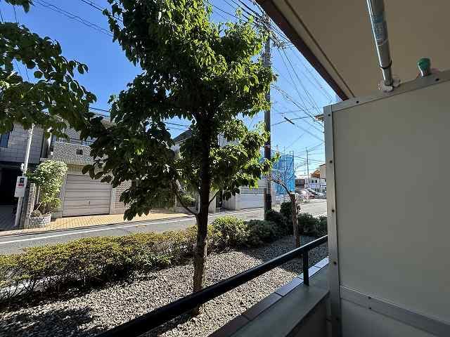 ブローニ･ゼルコバ その他5