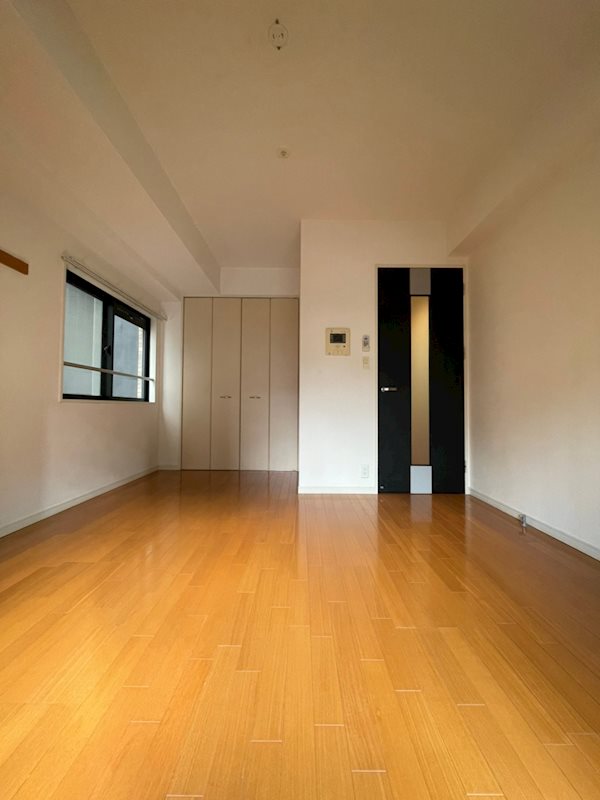 ラフィネス薬院ウエストタワー リビング