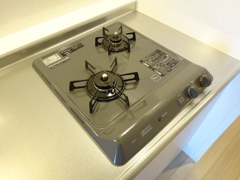 サヴォイラサブリエール その他16